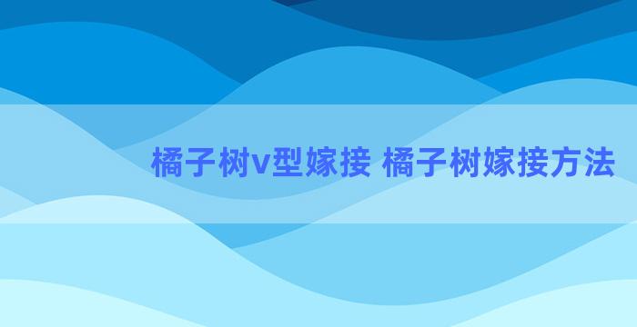 橘子树v型嫁接 橘子树嫁接方法